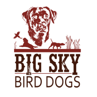 Big Sky Bird Dogs Logo